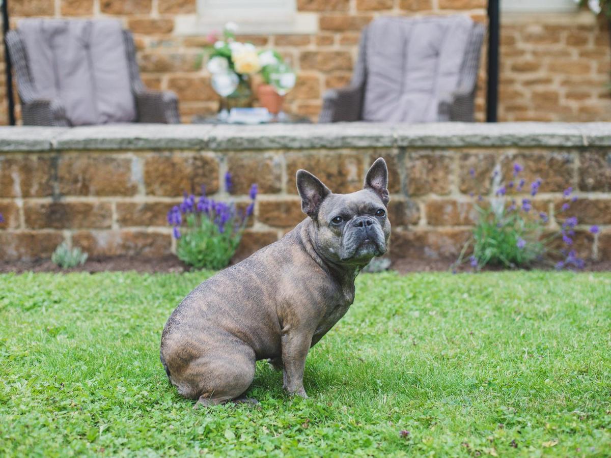 Climbing Rose Cottage - Dog Friendly - Peaceful Cotswold Cottage Adlestrop Ngoại thất bức ảnh